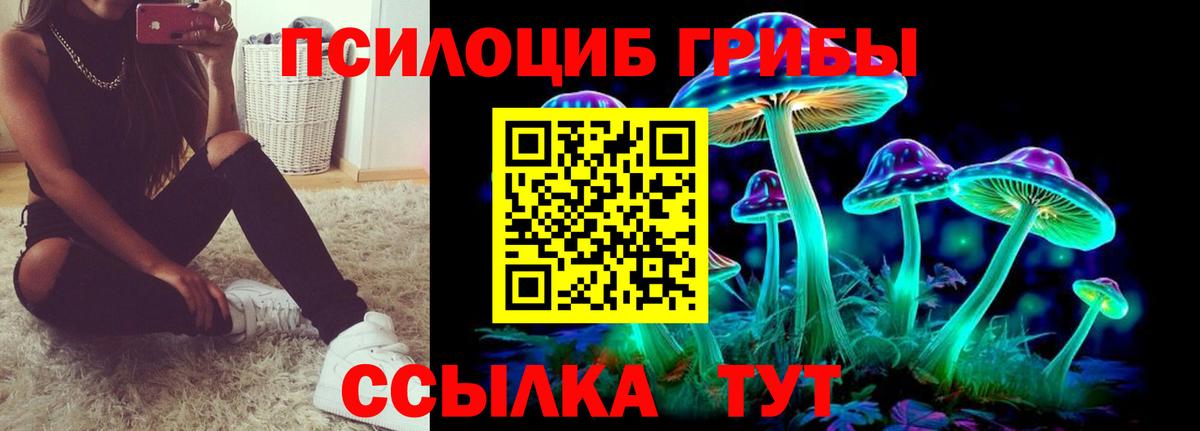 Псилоцибиновые грибы Cubensis  Вход с VPN  Якутск 